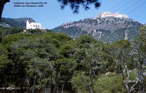 ORAN LES PLANTEURS1956
